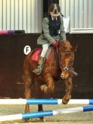 Image 18 in BROADS E C VALENTINES SHOW JUMPING 16 FEB. 2014