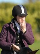 Image 27 in BROADS E C VALENTINES SHOW JUMPING 16 FEB. 2014