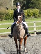 Image 3 in BROADS E C VALENTINES SHOW JUMPING 16  FEB. 2014