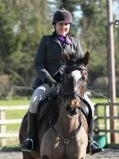 Image 4 in BROADS E C VALENTINES SHOW JUMPING 16 FEB. 2014