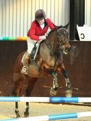 Image 49 in BROADS E C VALENTINES SHOW JUMPING 16 FEB. 2014