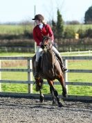 Image 54 in BROADS E C VALENTINES SHOW JUMPING 16 FEB. 2014