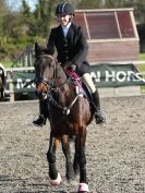 Image 7 in BROADS E C VALENTINES SHOW JUMPING 16  FEB. 2014