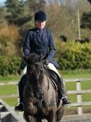 Image 8 in BROADS E C VALENTINES SHOW JUMPING 16  FEB. 2014