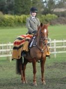 Image 85 in BROADS E C VALENTINES SHOW JUMPING 16  FEB. 2014