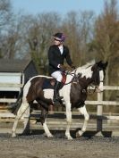 Image 2 in BROADS  AFFIL. SHOW JUMPING  22 FEB  2014