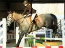 Image 29 in BROADS  AFFIL. SHOW JUMPING  22 FEB  2014