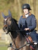 Image 5 in BROADS  AFFIL. SHOW JUMPING  22 FEB  2014