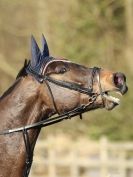 Image 6 in BROADS  AFFIL. SHOW JUMPING  22 FEB  2014