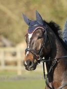 Image 7 in BROADS  AFFIL. SHOW JUMPING  22 FEB  2014