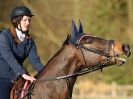 Image 71 in BROADS AFFIL. SHOW JUMPING 22 FEB 2014