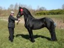 Image 19 in BROADS E C SHOWING SHOW 16 MARCH 2014