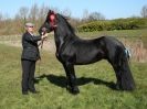 Image 20 in BROADS E C SHOWING SHOW 16 MARCH 2014
