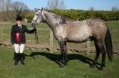 Image 39 in BROADS E C SHOWING SHOW 16 MARCH 2014