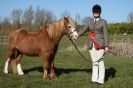 Image 40 in BROADS E C SHOWING SHOW 16 MARCH 2014