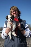 Image 41 in BROADS E C SHOWING SHOW 16 MARCH 2014