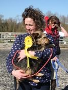Image 45 in BROADS E C SHOWING SHOW 16 MARCH 2014