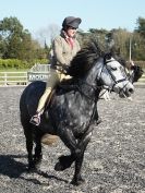 Image 54 in BROADS E C SHOWING SHOW 16 MARCH 2014