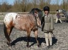 Image 58 in BROADS E C SHOWING SHOW 16 MARCH 2014