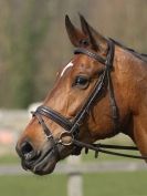 Image 101 in DRESSAGE AT BROADS EQUESTRIAN CENTRE. 29 MARCH 2014