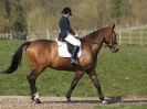 Image 102 in DRESSAGE AT BROADS EQUESTRIAN CENTRE. 29 MARCH 2014