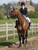 Image 103 in DRESSAGE AT BROADS EQUESTRIAN CENTRE. 29 MARCH 2014