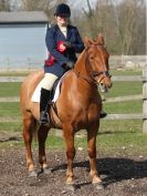 Image 105 in DRESSAGE AT BROADS EQUESTRIAN CENTRE. 29 MARCH 2014