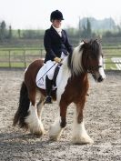 Image 11 in DRESSAGE AT BROADS EQUESTRIAN CENTRE. 29 MARCH 2014