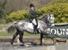 Image 111 in DRESSAGE AT BROADS EQUESTRIAN CENTRE. 29 MARCH 2014