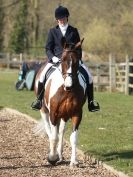 Image 113 in DRESSAGE AT BROADS EQUESTRIAN CENTRE. 29 MARCH 2014