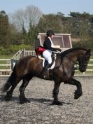 Image 118 in DRESSAGE AT BROADS EQUESTRIAN CENTRE. 29 MARCH 2014