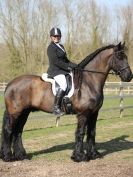 Image 124 in DRESSAGE AT BROADS EQUESTRIAN CENTRE. 29 MARCH 2014