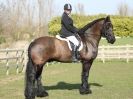 Image 126 in DRESSAGE AT BROADS EQUESTRIAN CENTRE. 29 MARCH 2014