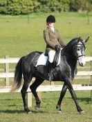 Image 131 in DRESSAGE AT BROADS EQUESTRIAN CENTRE. 29 MARCH 2014