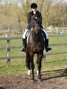 Image 138 in DRESSAGE AT BROADS EQUESTRIAN CENTRE. 29 MARCH 2014