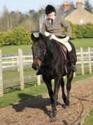 Image 146 in DRESSAGE AT BROADS EQUESTRIAN CENTRE. 29 MARCH 2014