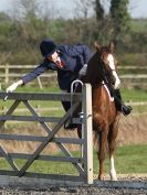 Image 147 in DRESSAGE AT BROADS EQUESTRIAN CENTRE. 29 MARCH 2014