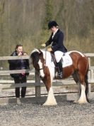 Image 15 in DRESSAGE AT BROADS EQUESTRIAN CENTRE. 29 MARCH 2014