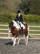Image 152 in DRESSAGE AT BROADS EQUESTRIAN CENTRE. 29 MARCH 2014