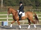 Image 153 in DRESSAGE AT BROADS EQUESTRIAN CENTRE. 29 MARCH 2014