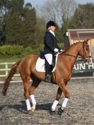 Image 154 in DRESSAGE AT BROADS EQUESTRIAN CENTRE. 29 MARCH 2014