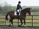 Image 60 in DRESSAGE AT BROADS EQUESTRIAN CENTRE. 29 MARCH 2014