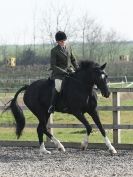 Image 62 in DRESSAGE AT BROADS EQUESTRIAN CENTRE. 29 MARCH 2014