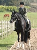 Image 76 in DRESSAGE AT BROADS EQUESTRIAN CENTRE. 29 MARCH 2014