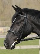 Image 78 in DRESSAGE AT BROADS EQUESTRIAN CENTRE. 29 MARCH 2014