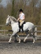 Image 83 in DRESSAGE AT BROADS EQUESTRIAN CENTRE. 29 MARCH 2014