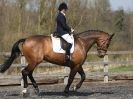 Image 95 in DRESSAGE AT BROADS EQUESTRIAN CENTRE. 29 MARCH 2014