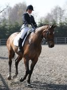 Image 99 in DRESSAGE AT BROADS EQUESTRIAN CENTRE. 29 MARCH 2014