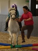Image 2 in BROADS EC  SHOW JUMPING 5 APRIL 2014 AND WORKING HUNTERS SUNDAY 6 APRIL 2014
