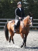 Image 23 in BROADS EC  SHOW JUMPING 5 APRIL 2014 AND WORKING HUNTERS SUNDAY 6 APRIL 2014
